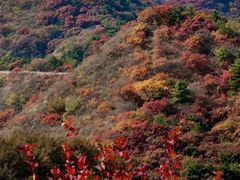 -狼牙山风景区