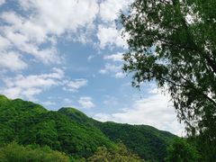 -王顺山国家森林公园