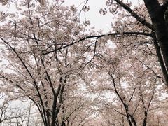 -龙美术馆西岸馆-停车场