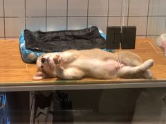 -狗道宠物(常熟印象城店)