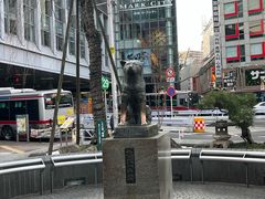 -涩谷区