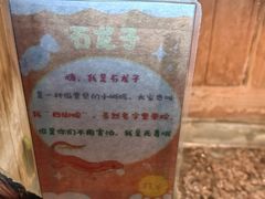 -上海大自然野生昆虫馆