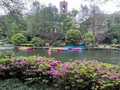 -新江湾城公园