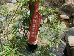 -海南霸王岭国家森林公园
