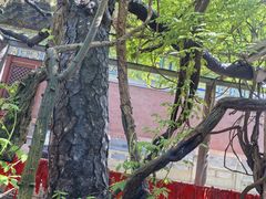 -红螺寺