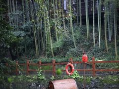 -十八棵（老龙井）御茶园(老龙井店)