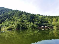 -仙居谷风景区