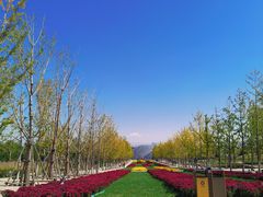 -太原动物园