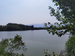 -翠湖国家城市湿地公园