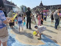 -西双版纳傣族园