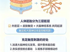 -金色雨林感统训练·专注力·语言认知·心理沙盘(天通苑校区)