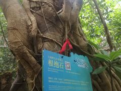 -七仙岭温泉国家森林公园