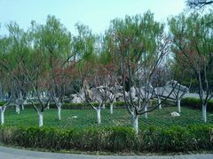 android_upload_pic-唐山抗震纪念碑广场