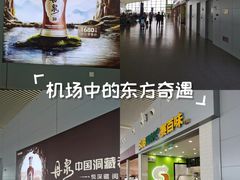 -合肥新桥国际机场-航站楼