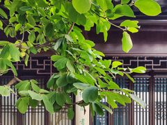 -苏州文旅花间堂·探花府酒店