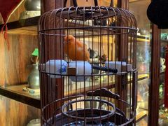 -普洱茶府(博乐广场店)