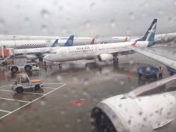 -花漾摄影优选工作室(东莞原创作品店)