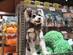 -MARSMART PETS火星宠物超市(1733店)