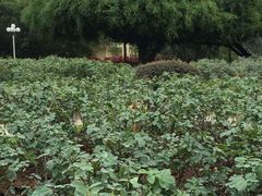 -人民公园(罗湖区)