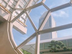 -新加坡丽思卡尔顿美年酒店