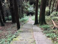 -武陵山森林公园