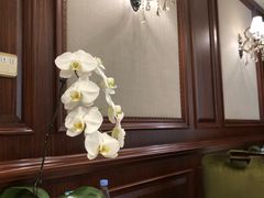 -子霖南山鲜虾面(南山总店)