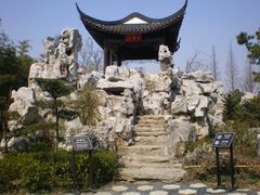 景点-朱家角课植园