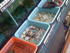 -冯姐生蚝(长隆横琴店)