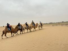-亿利库布其七星湖沙漠生态旅游区