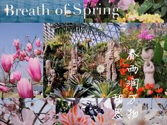 -上海辰山植物园