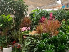 -秦美花卉(天朗·莱茵小城2期店)