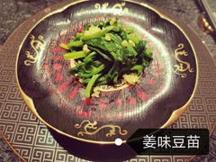 -许家菜(望江店)