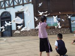 -沈阳方特欢乐世界