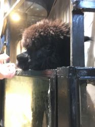 -酷嗒动物文化乐园(cutezoo西溪乐天城店)