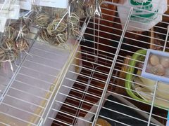 -蓝湾碧波·老字号·疍家非遗海上餐厅