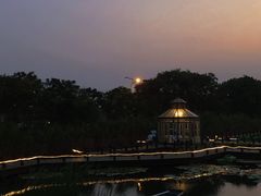 -大塘金香草谷