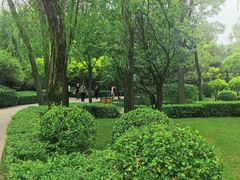 -迎泽公园