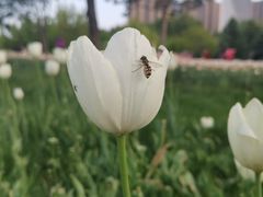 -长春公园(普阳街道)