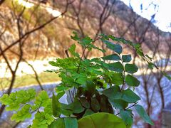 -汉中石门栈道风景区