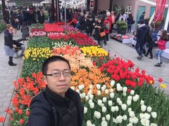 -库肯霍夫公园