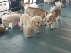 -长春农博园