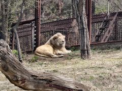 -沈阳森林动物园