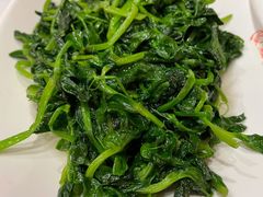清炒豆苗-永兴餐厅(复兴中路店)