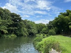 -杭州植物园