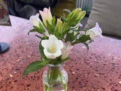 -La Terre乐田(万象城店)