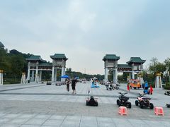 -王借岗森林公园