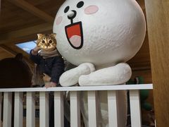 -LINE FRIENDS Garosu-gil Flagship Store
