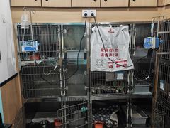 -贝利宠物医院·骨科·眼科·肿瘤转诊中心(南坪诊疗中心)