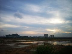-光明小镇欢乐田园
