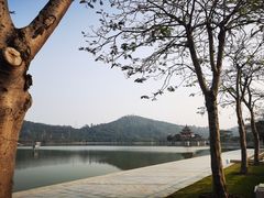 -顺峰山公园